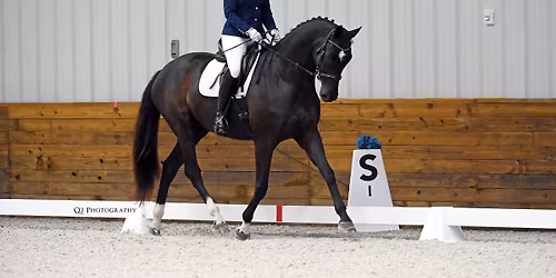 Stephany Fish Clinic 