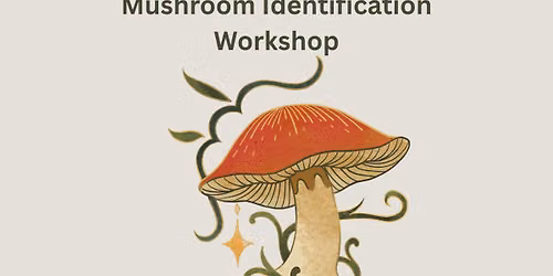 Mushroom Foray- Guided Trip and Workshop!