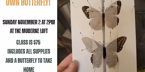 Butterfly Pinning Class (Insect Taxidermy)