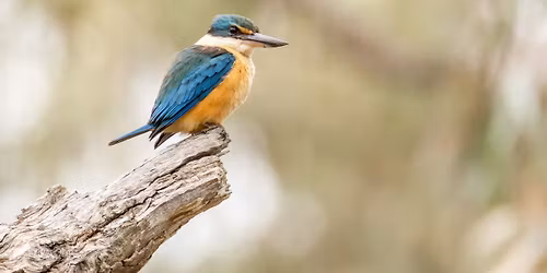  Photography Group Outing - Diamond Dove Dam Kamarooka