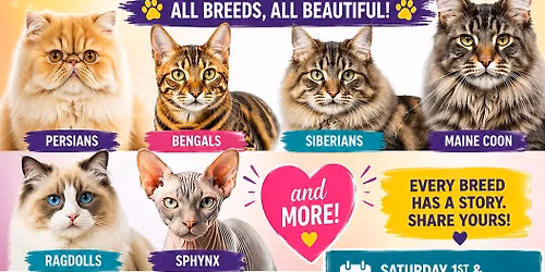 Maryborough Cat Expo QLD