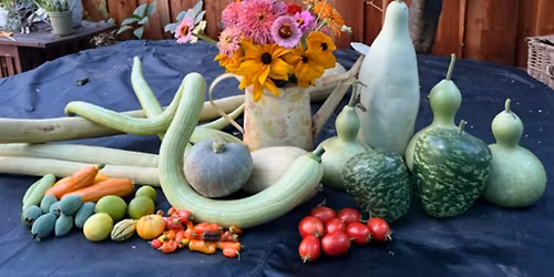 Summer Vegetables
