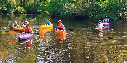 Winyah Watershed Paddle: Waccamaw River, Peachtree Landing