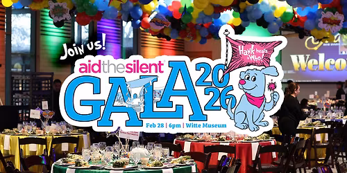 11th Anniversary Gala