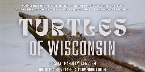 Turtles of Wisconsin