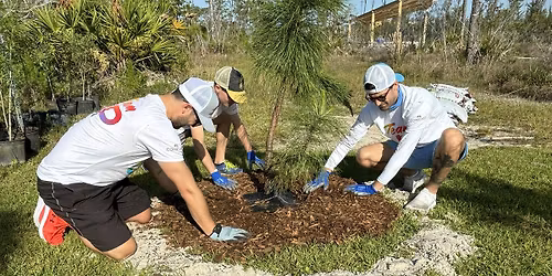 Tree Planting at Crystal Lake Park
