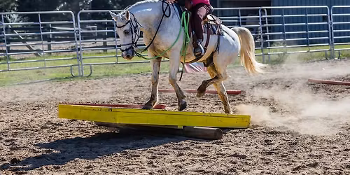 Spring Retreat #5 (Confidence Retreat)