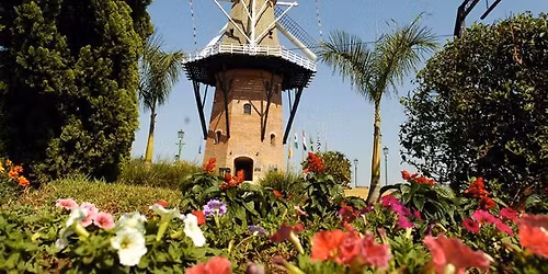 \ud83c\udf37 HOLAMBRA - SP \ud83c\udf39