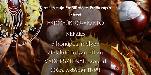 ERD\u0150F\u00dcRD\u0150-VEZET\u0150 K\u00c9PZ\u00c9S: Vadgesztenye csoport