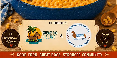 Macaroni and Cheese with Hot Dogs - Dachshund Party at Millennial