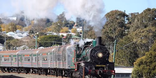 Pittsworth Pioneer Steam Train Trip 