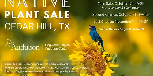 Native Plant Sale: Main Live Sale