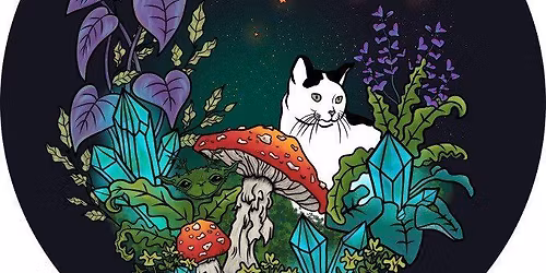 Magic Forest & Amsel live + 60tis Disco