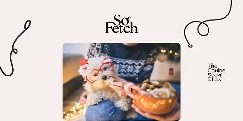 BARK THE HALLS: Festive Dog Cookie Decorating