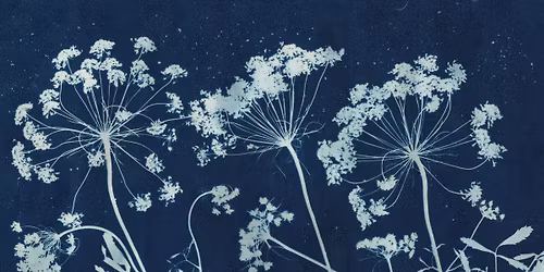 SOLD OUT Beginners Botanical Cyanotype | an afternoon workshop