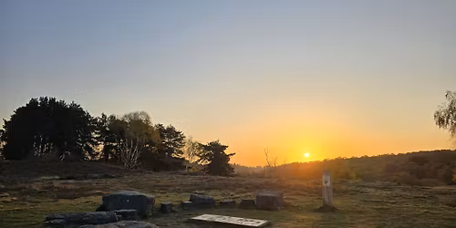 Guided Winter Solstice Walk - Cannock Chase 
