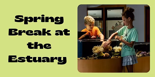 Drop In Event: Spring Break at the Estuary