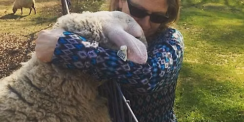 Thank Ewes \u2013 The Blessings from Sheep