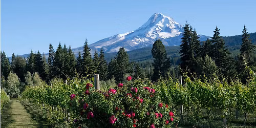 Beyond Pinot: Oregon's Hidden Gems
