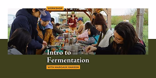 Intro to Fermentation
