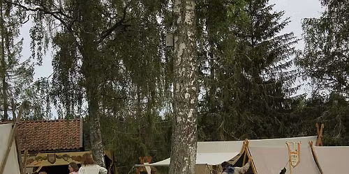 Yddir vikingmarked