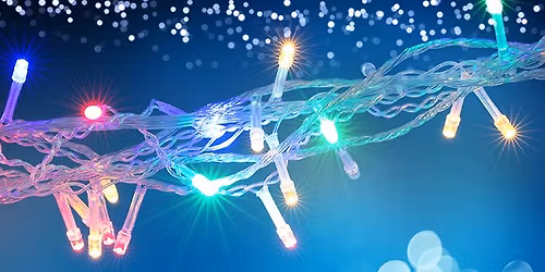 Edmonton Holiday Light Tour