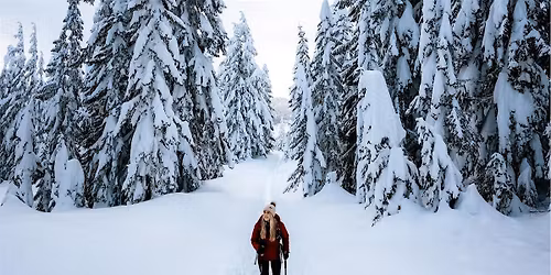 Introduction \u00e0 la raquette et \u00e0 la sylvoth\u00e9rapie hivernale au mont Royal