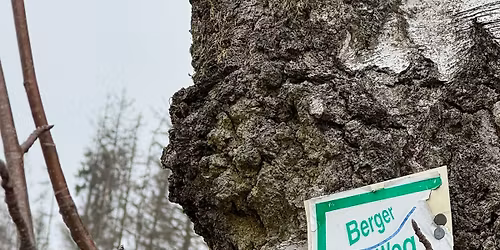 CRAZY #mitlauferlebnis "Berger Winkel Runde"