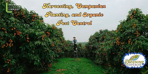Harvesting, Companion\/Succession Planting, and Organic Pest Control