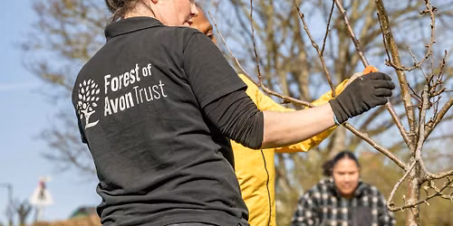 Tree care day at Purdown Open Space