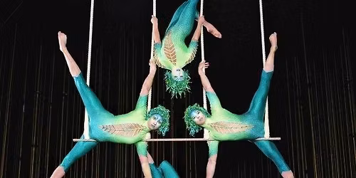 Triple Trapeze Workshop