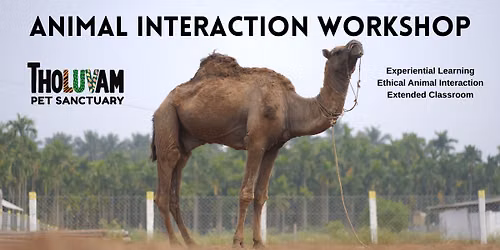 Animal Handling Workshop