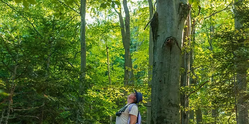 Sounds of Nature (Family Program, All Ages), $4 per person upon arrival