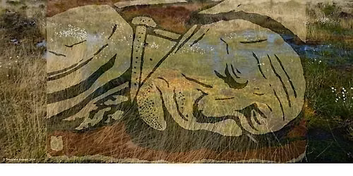 Preserved in Peat