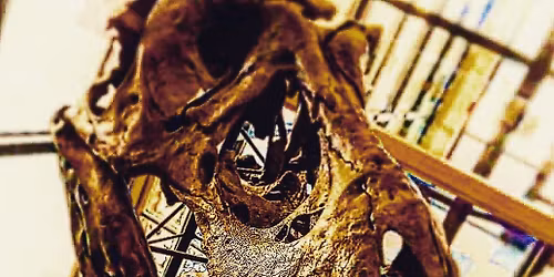 For the Love of T. rex