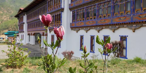 Bhutan's Phobjikha Valley