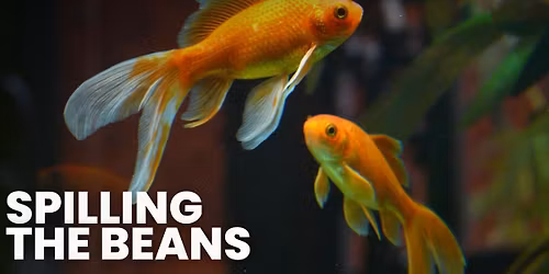 Spilling the Beans... on Invasive Species!