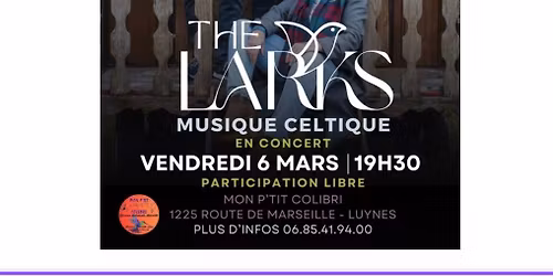 The Larks Concert Live