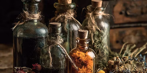 Winter Immunity: Herbal Fire & Root Medicine