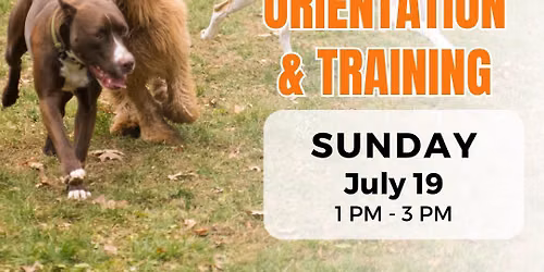 July - Canine Playgroup Volunteer Orientation & Training