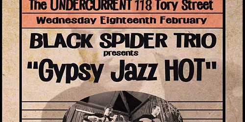 Black Spider Trio: Gypsy Jazz Hot
