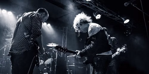 The Cureheads + Siouxsie and the Budgies