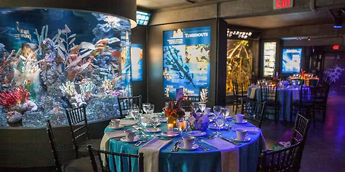 Boston CofC Holiday Cheer Party