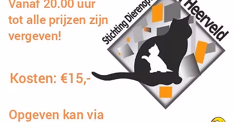 Christmas Challenge Bingo Stichting Dierenopvang 't Heerveld.