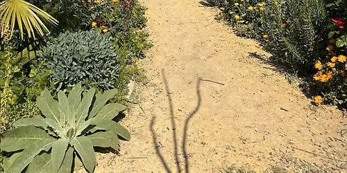 iNaturalist Workshop