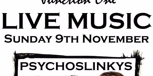 Junction One Bands >>PSYCHOSLINKYS<<