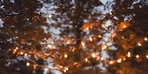 Bonfire Night \ud83c\udf86