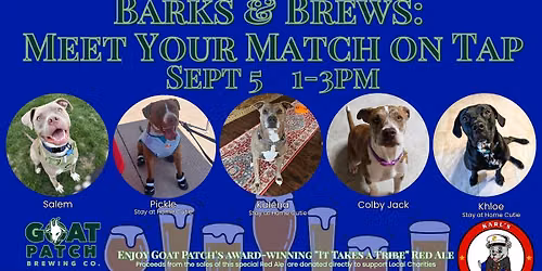 \ud83d\udc3e Barks & Brews: Meet Your Match on Tap \ud83c\udf7b
