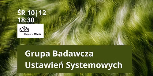 Grupa Badawcza Ustawie\u0144 Systemowych 
