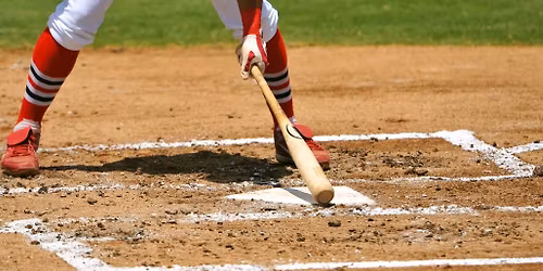 Elizabethton River Riders vs. Danville Otterbots